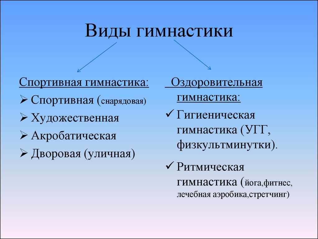 Виды гимнастики и их краткая характеристика: Виды гимнастики | Федерация спортивной  гимнастики Оренбургской области — Транспортная компания «Гранд Атлантис» —  перевозка сборных грузов